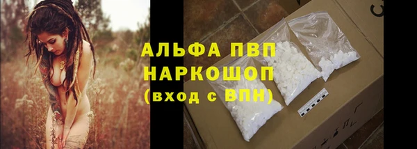герыч Бородино