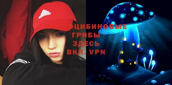 герыч Бородино